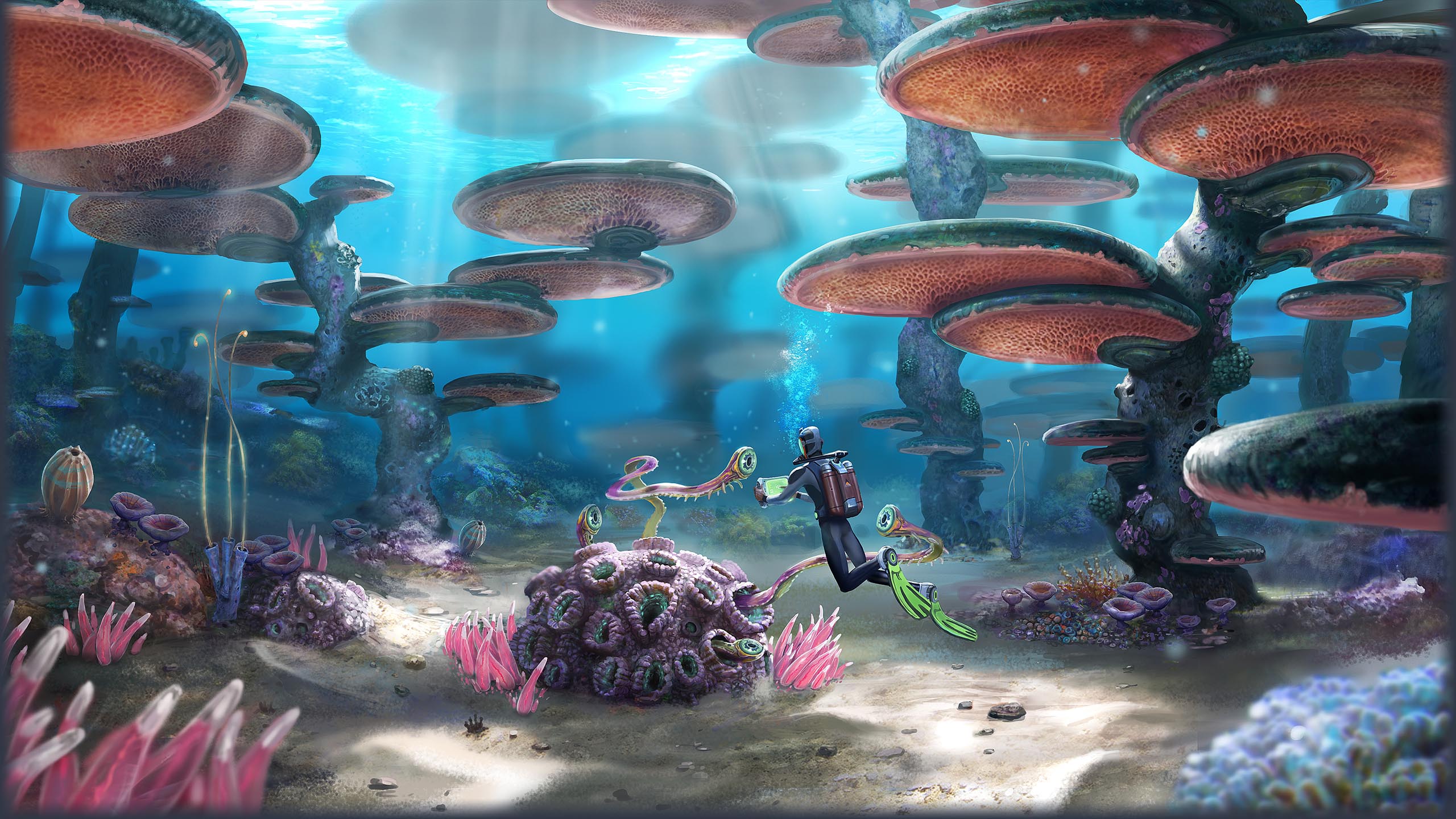 Подводные мир зачаровывает.
